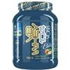 MOLDES SRL Net integratori vb whey 104 9088 elite wafer 700 g