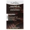 ZETA FARMACEUTICI SPA Euphidra Colorpro Xd 550 Mogano Gel Colorante Capelli In Flacone + Attivante + Balsamo + Guanti