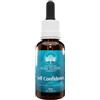 BUSH BIOTHERAPIES PTY LTD Self Confidence Essence Australian 30 Ml