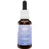 BUSH BIOTHERAPIES PTY LTD Caregiver 30 Ml