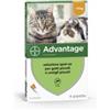 ELANCO ITALIA SPA Advantage Spot-on Soluz 4 Pipette 0,4 Ml 40 Mg Gatti E Conigli Piccoli