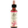 SCHWABE PHARMA ITALIA SRL Crab Apple Bach Orig 20 Ml