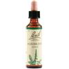 SCHWABE PHARMA ITALIA SRL Agrimony Bach Orig 20 Ml