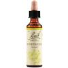 SCHWABE PHARMA ITALIA SRL Honeysuckle Bach Orig 20 Ml