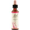 SCHWABE PHARMA ITALIA SRL Larch Bach Orig 20 Ml