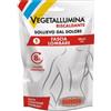 PIETRASANTA PHARMA SPA Vegetallumina Fascia Lombare Riscaldante 1 Pezzo