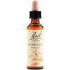 SCHWABE PHARMA ITALIA SRL Mimulus Bach Orig 20 Ml