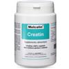 BIOTEKNA SRL Melcalin Creatin 190 G