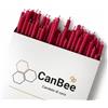 CanBee Candele di cera 50 Candele Sottili Rosse in Cera d'Api Naturale - 16 cm x 0,5 cm - Stoppino in Cotone - Senza Fumo - Durata circa 40 Minuti - Ideali per Rituali, Meditazione, Yoga e Cerimonie - CanBee