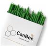 CanBee Candele di cera 50 Candele Sottili Verdi in Cera d'Api Naturale - 16 cm x 0,5 cm - Stoppino in Cotone - Senza Fumo - Durata circa 40 Minuti - Ideali per Meditazione, Yoga, Rituali Naturali e Benessere - CanBee