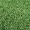 Verdelook Erba Sintetica Sempreverde 8 mm Rotolo 1x5 Metri Verdelook Prato Artificiale