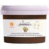 Dolcincasa.com PASTA PISTACCHIO PURO SICILIA 100% AL NATURALE SENZA COLORANTE PER CREME GELATI E VARI UTILIZZI IN PASTICCERIA PRODOTTO BRONTE, 250 gr