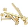 CONPHERON Viti per Rilegatura Ottonato Ribattini per Cuoio Rivetto per Chiodi per Decorazione e Rilegatura (M5x30mm, 20 Sets)