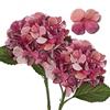 Hollyone 2Pz di Ortensie Artificiale, fiori artificiali con steli stampa digitale finto fiore essiccato decorazione per la casa per la cucina, per soggiorno, ufficio, pianta rosa