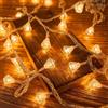 HHMTAKA Filo di luci a forma di rosa di cristallo, per interni, funzionamento a batteria, 40 LED bianco caldo, 6 m, per interni, camera da letto, decorazione natalizia (diamante di cristallo)