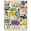 CAVALLINI & CO. Cavallini 1000 Piece Puzzle, Mineralogie (PZL/MINERALOGIE)
