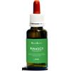 Natur Spiritual Natur Mix Rinasci! 30ml