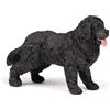 Papo - Statuetta Terranova Realistica - 3 Anni + - Collezione Cani e Gatti - Gioco Educativo Animali Domestici - Idea Regalo Giocattolo Bambina Bambino