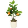 Flair Flower Albero di arancio artificiale con frutti in vaso, 40 cm, pianta artificiale, albero di agrumi, decorazione di frutta, pianta artificiale, per soggiorno, ufficio, cucina, facile da pulire