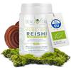 BEAUVITAL Pure Bio Reishi Ganoderma 100 g con estratto di Reishi biologico al 10% | Nuova formula | Ganoderma lucidum da agricoltura biologica dell'UE, vegan, senza additivi artificiali