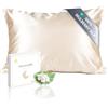 townssilk Federa seta cuscino,100% naturale seta di gelso 19momme,doppia faccia,benefica per capelli e pelle,ipoallergenica,cerniera nascosta,1 pz,50x70cm,Tortora