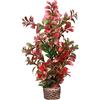 Hobby 51536 Flora Stone 7