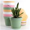 WOUSIWER Vasi in plastica G004-C