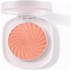 TINTARK Cheeky Blush Palette, Fard in Polvere Make up Viso, Resistente All'acqua e Al Sudore, Lunga Durata, Matte, Adatto a Diversi Gruppi Di Pelle, Talc Free, 2.7g(03)