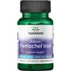 Swanson Health Products Albion Ferrochel Ferro 18 mg 180 Capsule