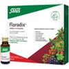 SALUS HAUS GMBH & CO KG Floradix Monodose 10 Flaconcini Da 20 Ml