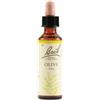 SCHWABE PHARMA ITALIA SRL Olive Bach Orig 20 Ml