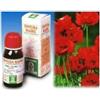PAPAVERO CALIFORNIA 13 50ML TM