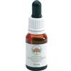 Bush Flower Essences Fiori Australiani Boab Gocce 15 ml