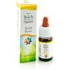 Guna Fiori Di Bach Wild Rose Vitalità Gocce 10 Ml