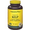 ALGHE KELP 300TAV