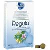 REGULA MISC ERBE SVIZZ 30TAV