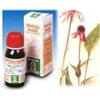 Specchiasol Echinacea 59 Tintura Madre 50 ml