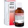 Dr.reckeweg Dr. Reckeweg R53 Gocce Orali Omeopatiche 22 ml