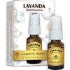 Dottor Giorgini Dr. Giorgini Lavanda Quintessenza Spray Rilassante 15 ml
