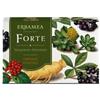 FORTE 24CPS