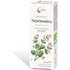 NEPETASATIVA MACERATO CAIRA
