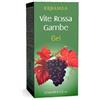 VITE ROSSA GAMBE GEL 125ML