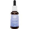 CAREGIVER 30ML