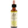 Schwabe Fiori di Bach 16 Honeysuckle Gocce 20 ml