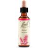 Schwabe Fiori di Bach 24 Pine Gocce 20 ml