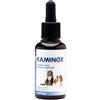 KAMINOX SCIROPPO 60ML