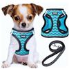 YIMEIS, Set di pettorina e guinzaglio per cani, in morbida rete, riflettente, regolabile, per cani di taglia piccola, media e grande, blu, XS (confezione da 1)