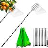 WOXFUWOXFU Raccoglifrutta con Manico Telescopico 4,23 m e Sacchetto in Cotone, Raccoglitore Mele Diametro 16 cm per Ciliegie, Prugne, Mele - Coglifrutta per Punti Irraggiungibili
