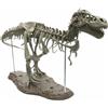 4D Scheletro di Dinosauro Fossile di Visualizzazione del Modello Figurine