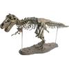 Kit di Blocchi Modello Scheletro di Dinosauro 4D Giocattoli Smontati Regalo per